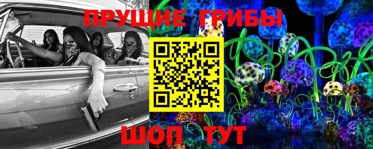 Псилоцибиновые грибы Psilocybine cubensis Королёв