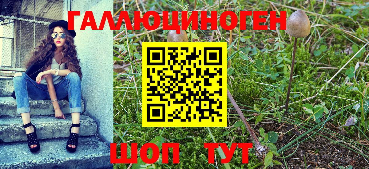 дарнет шоп  Вход с VPN  Королёв  Галлюциногенные грибы Cubensis  Галлюциногенные грибы ЛСД 